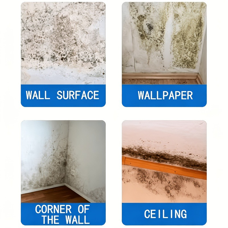 Black Spot Mold Remover Spray  - Home Bathroom Cleaning review and price