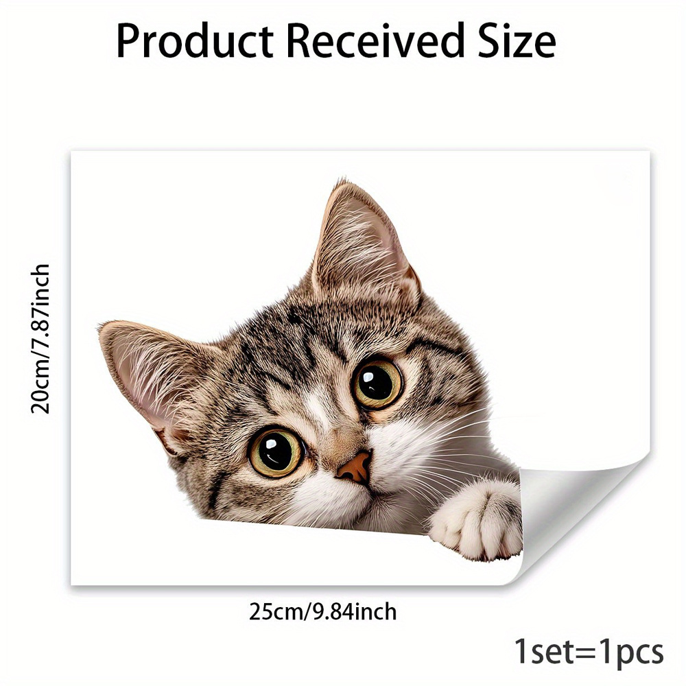 Funny Cat Peeking Window Wall  - Home Bathroom Window review and price