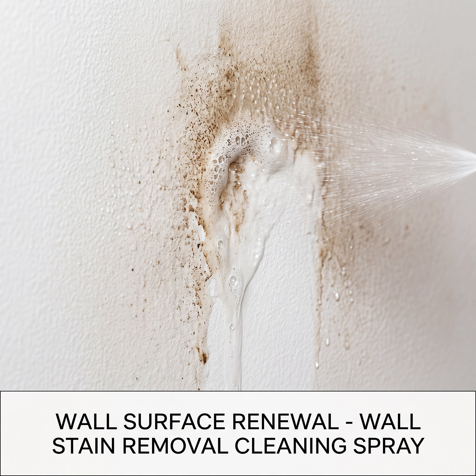 Mildew Remover Wall Spray Clea - Home Bathroom Cleaning review and price